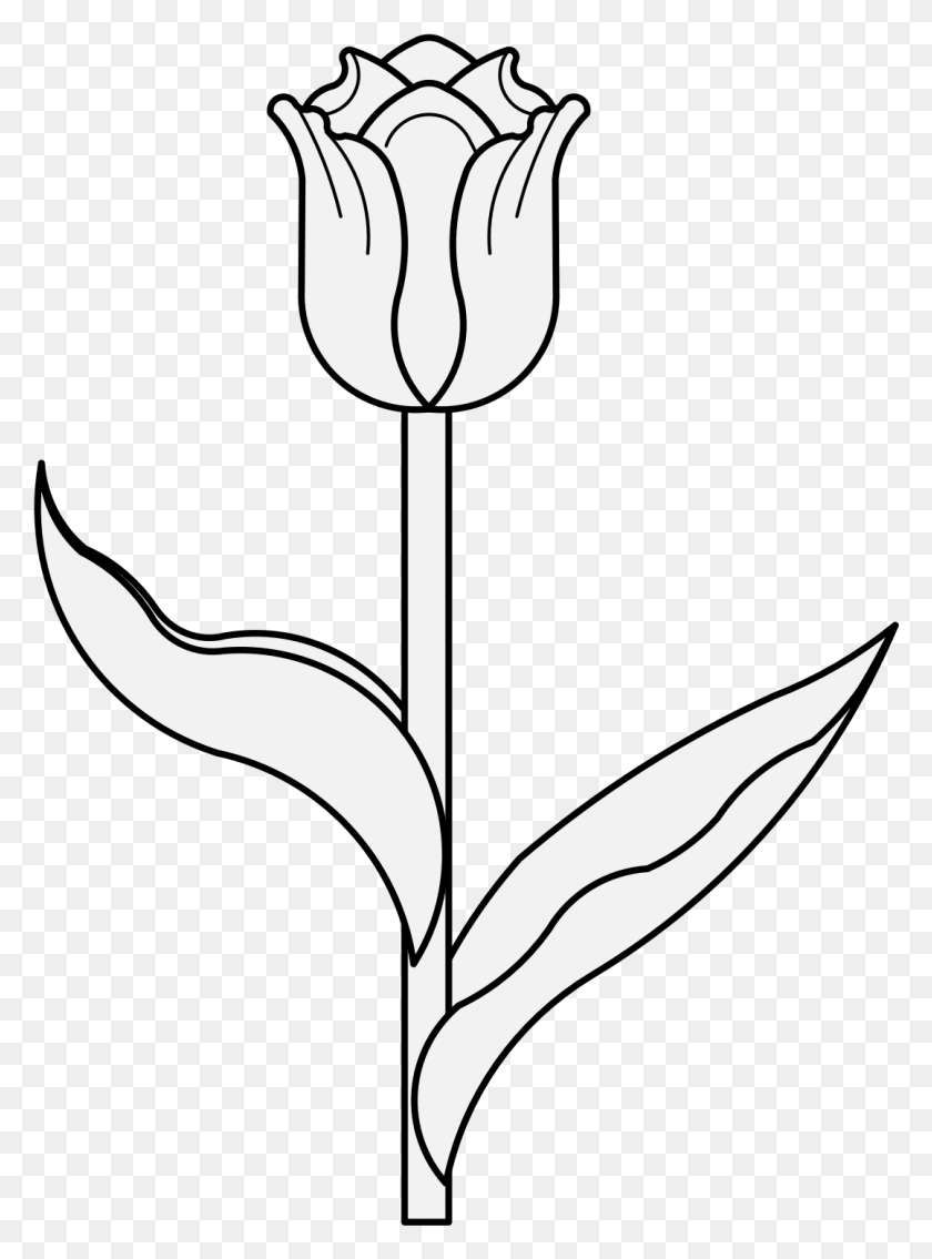 Тюльпан схематично