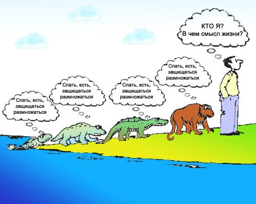 В чем смысл жизни картинки