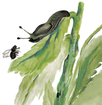 Виталий Бианки хвосты