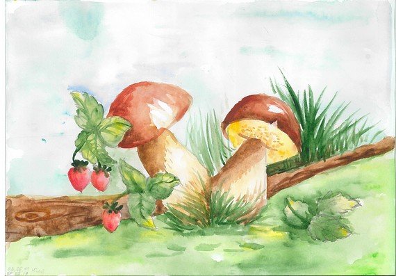 Поляна с грибами для детей