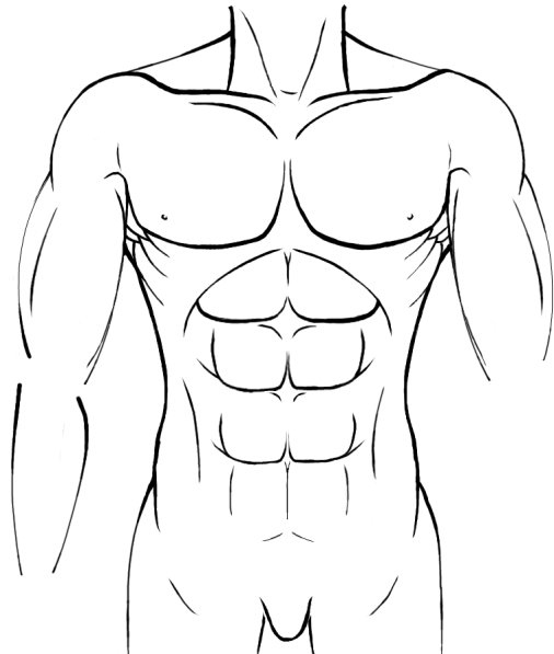 Торс рисунок