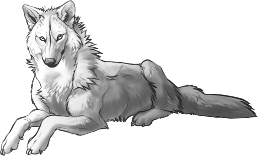 Волк лежит референс