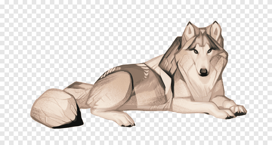 Как рисовать сидящего волка