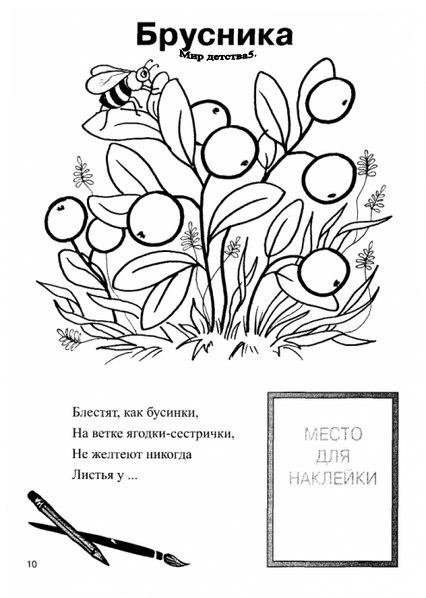 Брусника раскраска для детей
