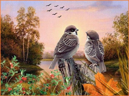 Осеннее утро с птицами