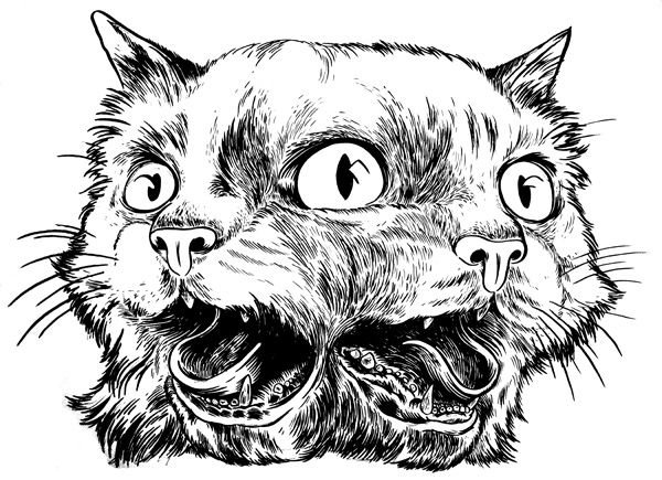 Морда кошки эскиз