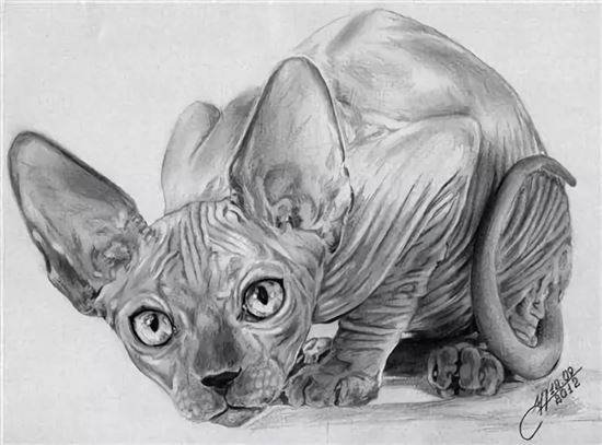 Сфинкс рисунок