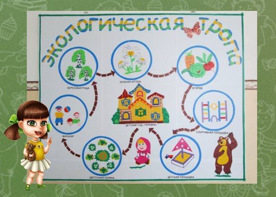 Экологическая тропа для дошкольников