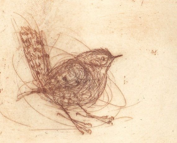 Рубенс сангина