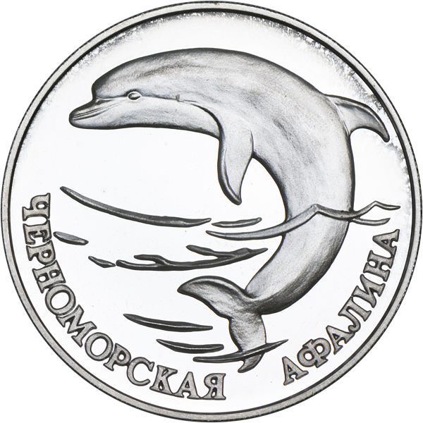 Рисунок дельфина Афалина Черноморского