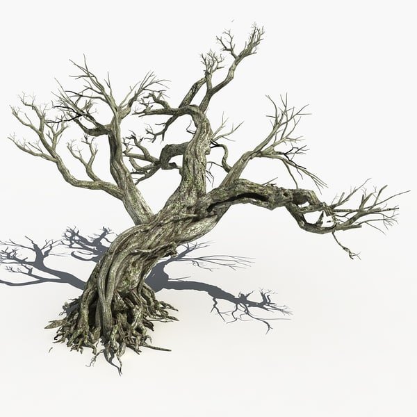 Сухое дерево арт