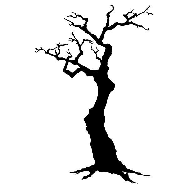 Силуэты высохших деревьев