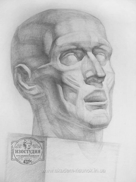 Экорше Гудона сбоку