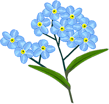 Незабудка мультяшная