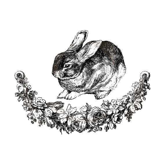 Винтажные черно-белые животные