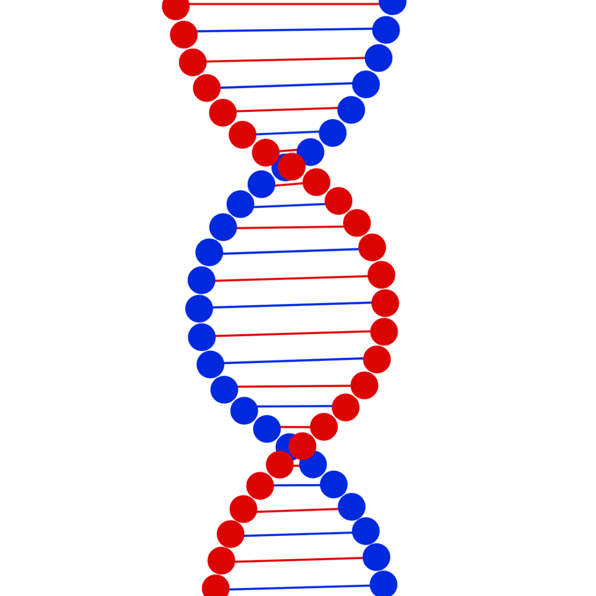 Геном белого человека. Двуспиральная модель ДНК. Цепочка ДНК DNA. Ген цепочка ДНК. Спираль ДНК.