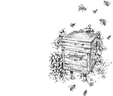 Улей раскраска