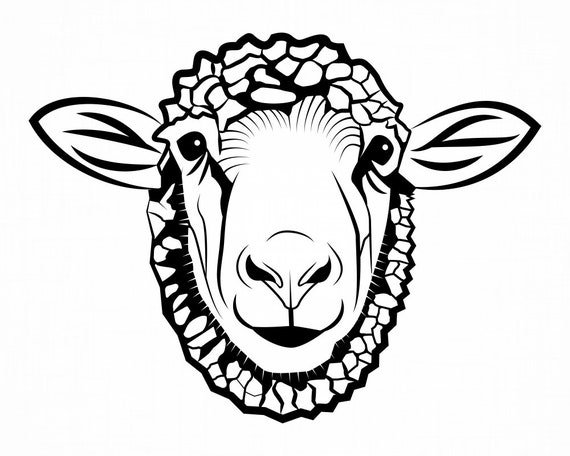 Баран вектор