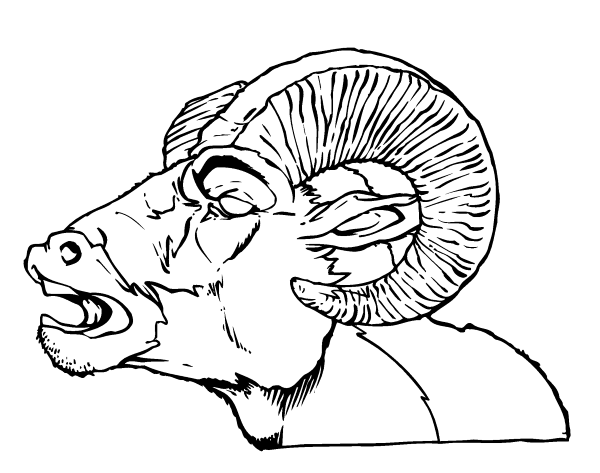 Баранья голова эскиз