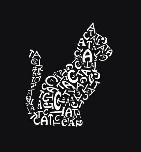 Композиция из шрифтов