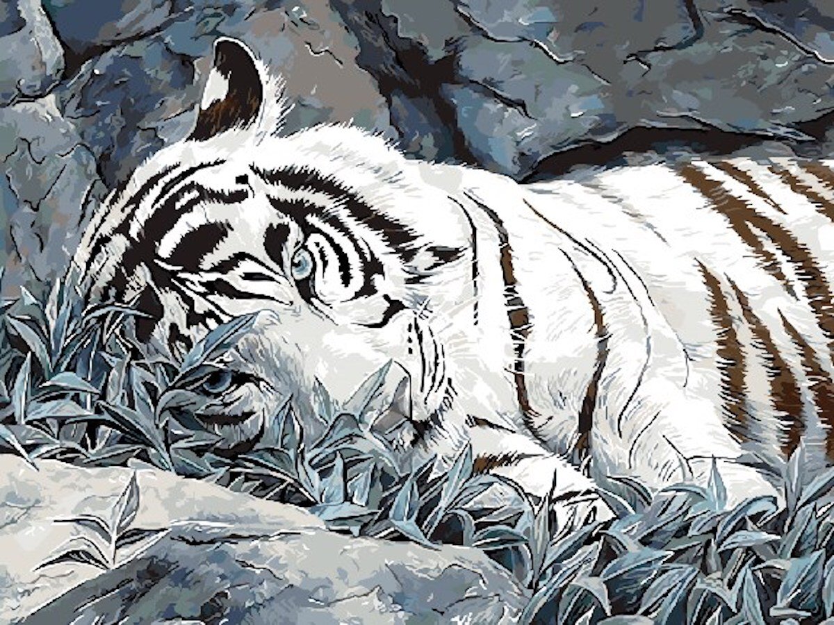 Paintboy (Premium) тигр