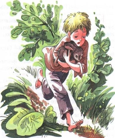 Заячьи лапы Паустовский иллюстрации к рассказу