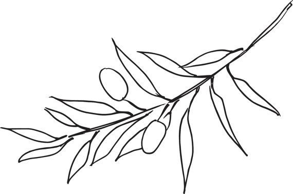 Ветка оливы контур