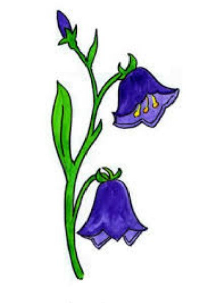 Стебель колокольчика для детей