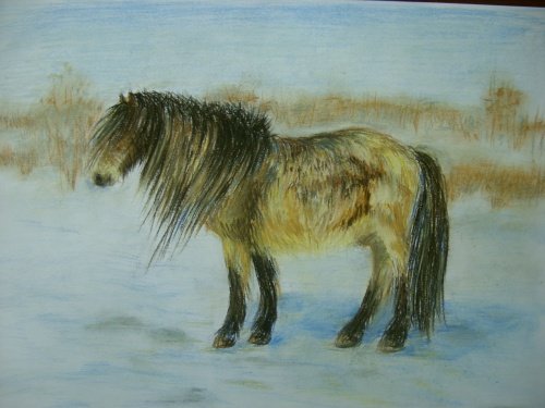Картина Якутской лошади