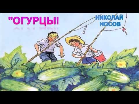 Главные герои огурцы Носова