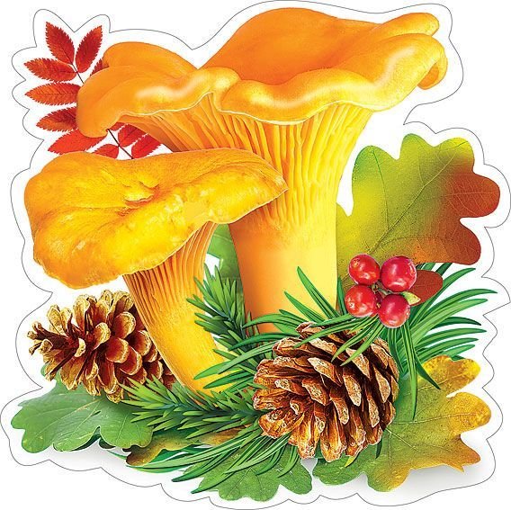 Грибы для детского сада