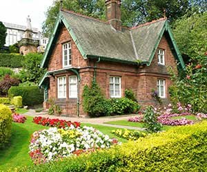 Нарисовать мордочку собачки