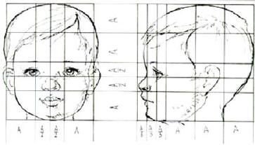 Пропорции детского лица для рисования