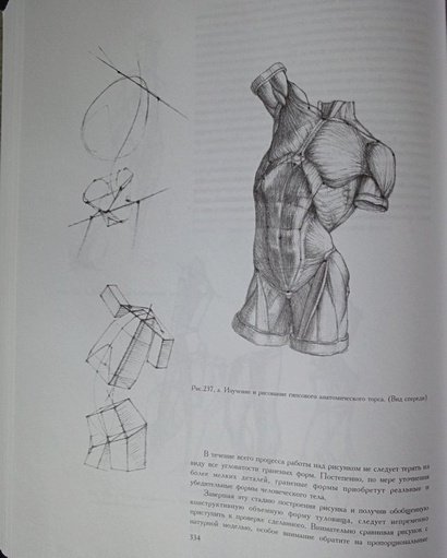 Николай ли рисунок основы учебного академического рисунка