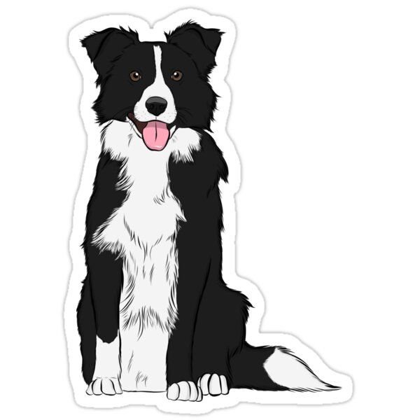 Бордер колли арт Стикеры