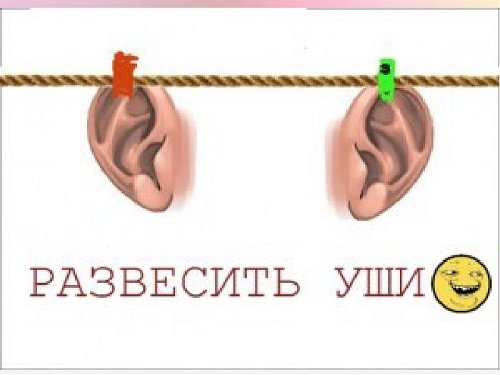Развесить уши