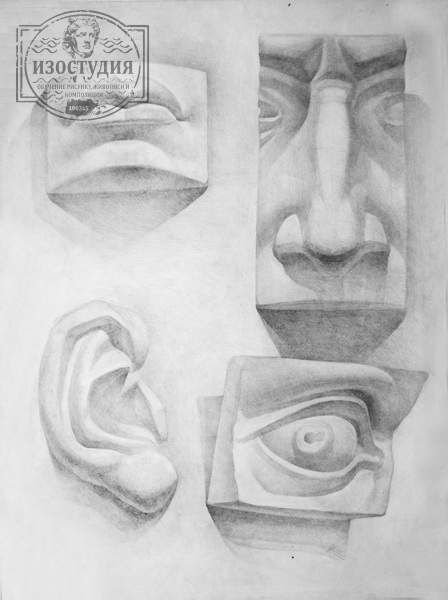Рисунок гипсовой головы Академия художеств Давид
