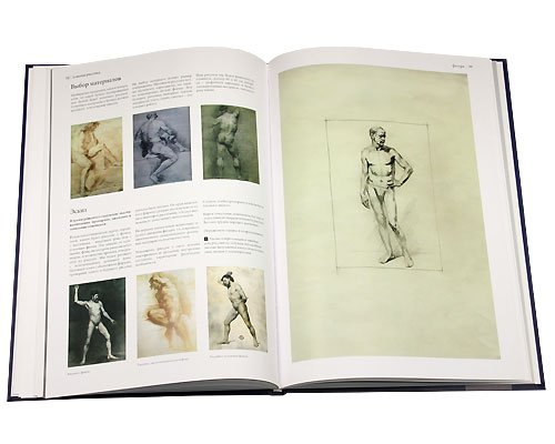 Рисунок. Основы учебного академического рисунка Николай ли книга