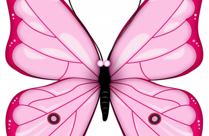 Бабочка бело розовая. Розовые бабочки. Розовые бабочки на белом фоне. Бабочки на белом фоне. Розовые бабочки на прозрачном фоне.