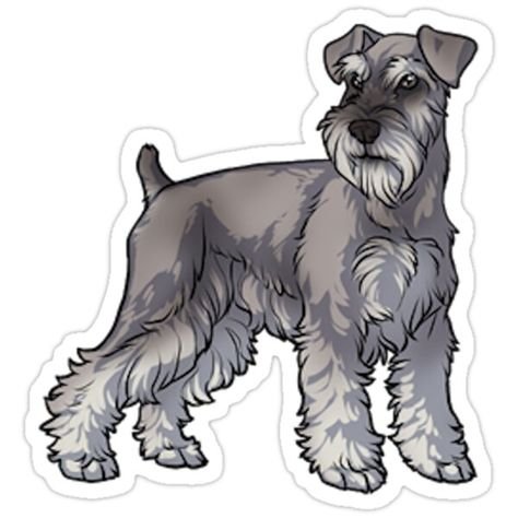 Силуэт цвергшнауцера