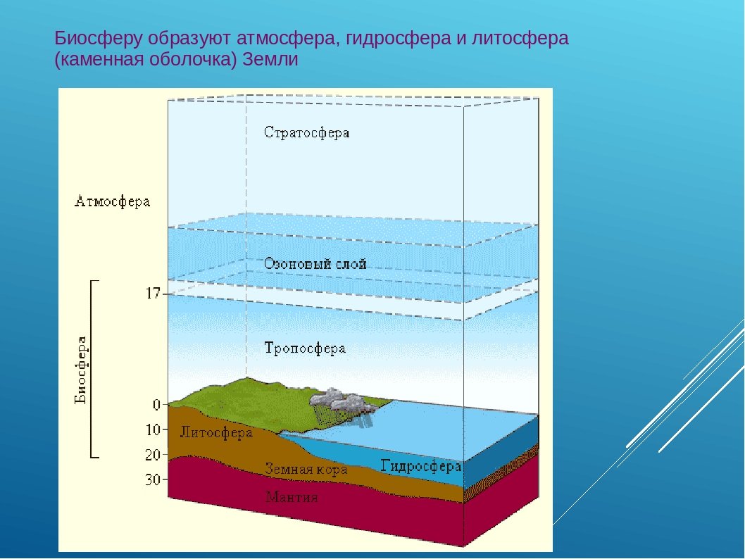 Основные оболочки земли атмосфера гидросфера и литосфера