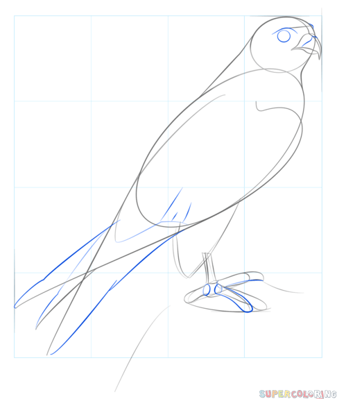 Силуэт Сокола Сапсана