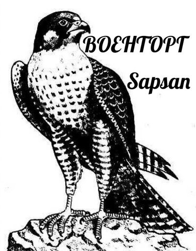 Финист Ясный Сокол раскраска