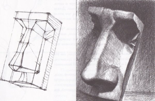 Гипсовый нос Давида построение