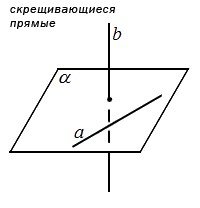 Скрещивающиеся прямые и параллельные прямые