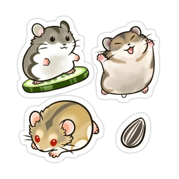 Джунгарский хомяк референс