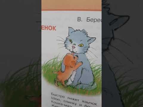 Кошки и собаки. Раскраска