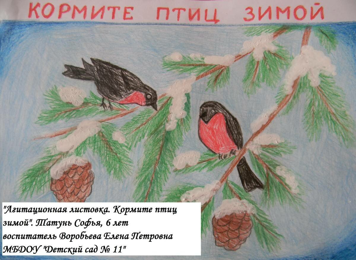 Плакат помоги зимующим птицам
