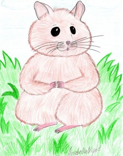 Рисунок любимого животного