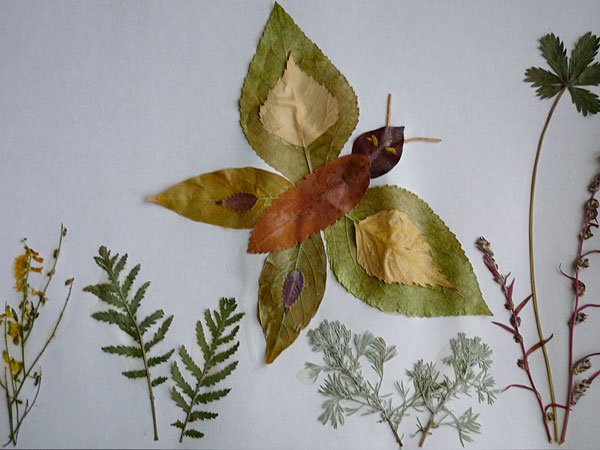 Осибана из осенних листьев